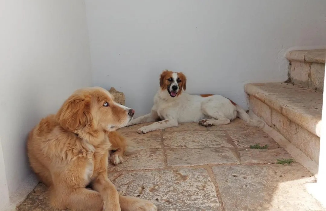 Masseria San Martino-1